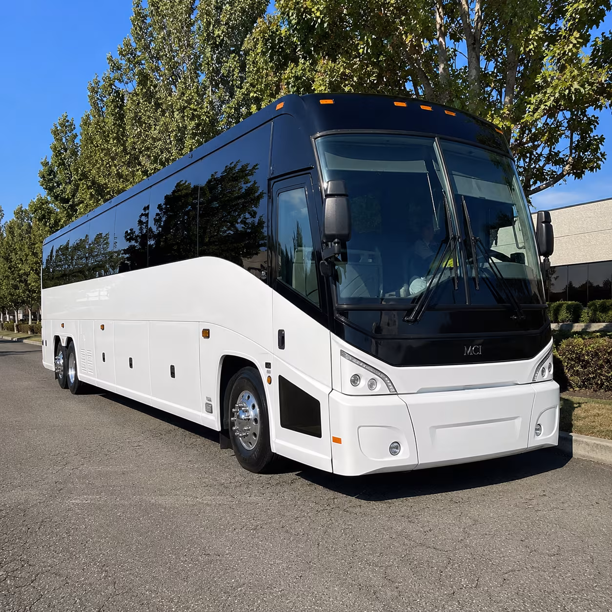 billings 50 passenger charter bus