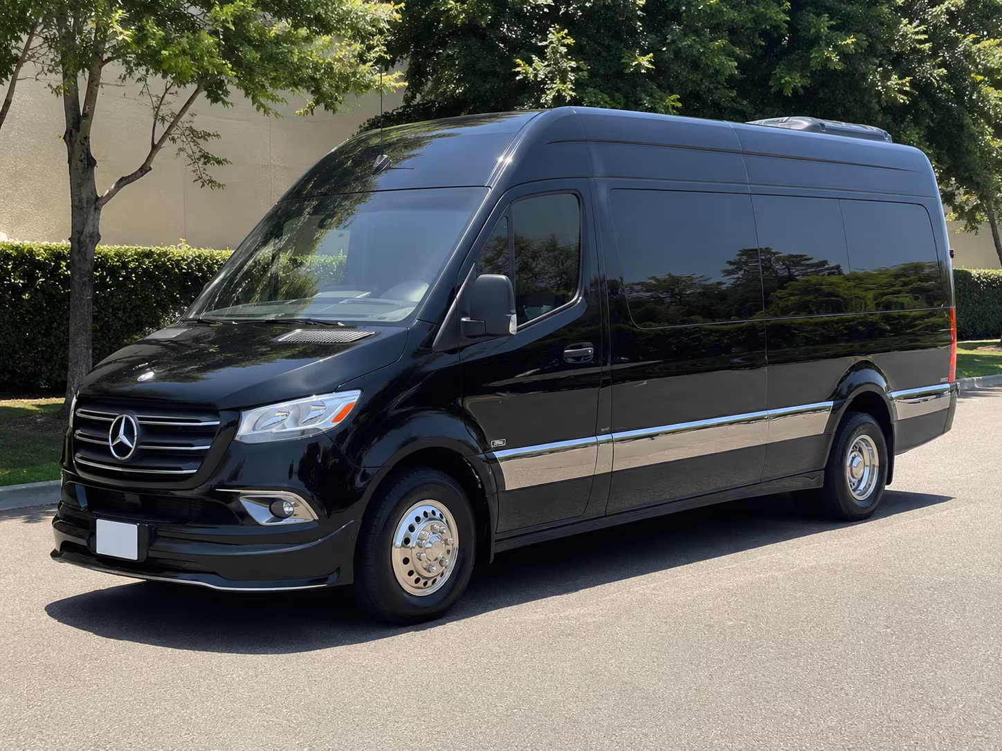 billings sprinter van with driver