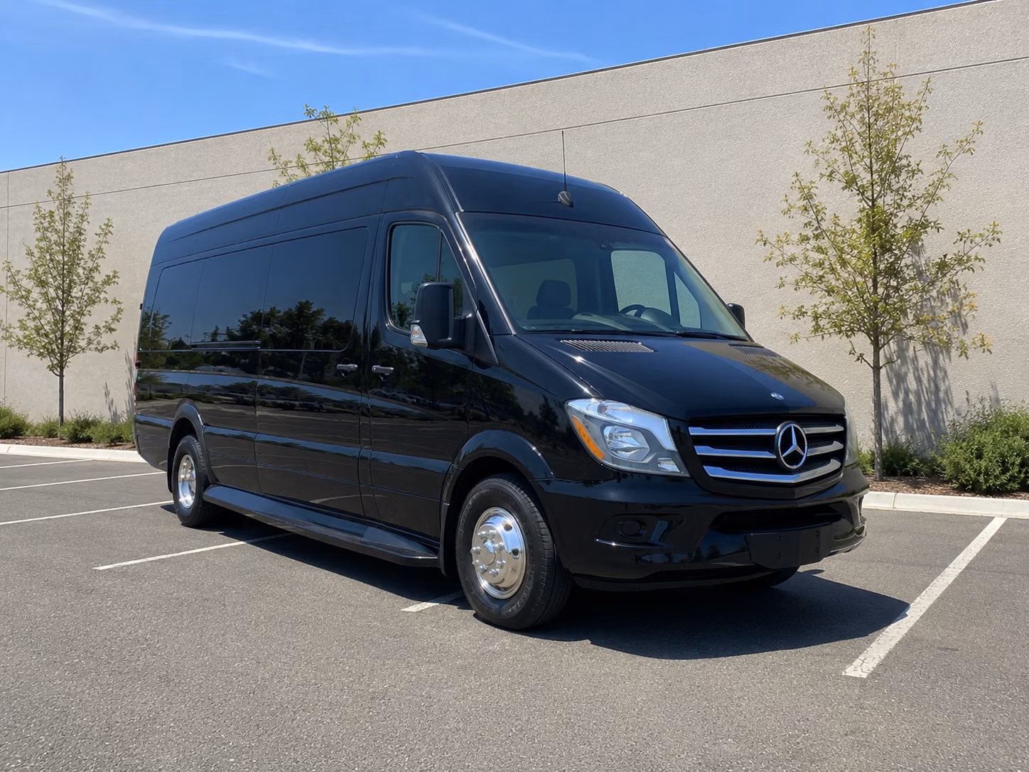 book group transportation for your next birthday 4
