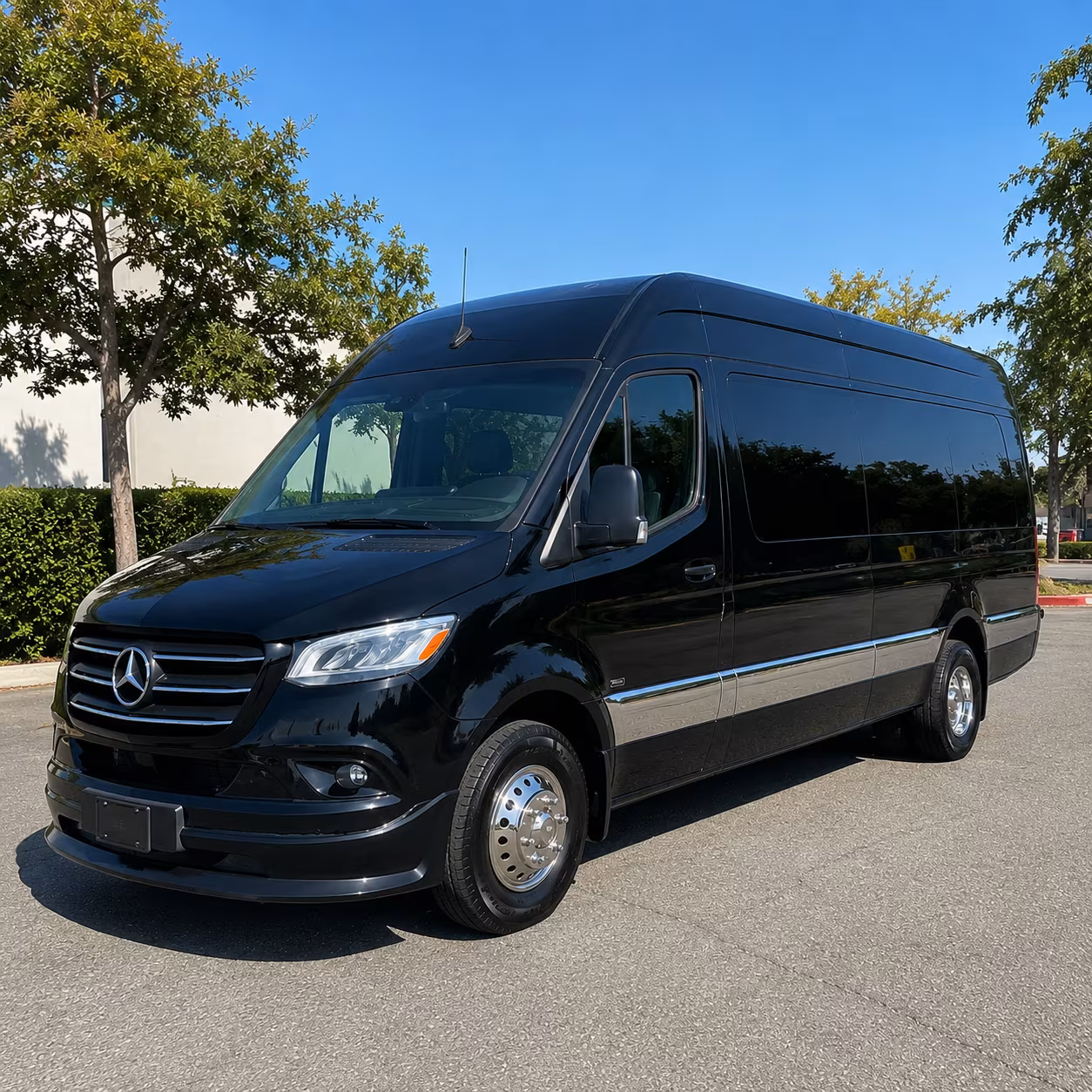 sprinter vans and minibuses for smaller billings sports groups